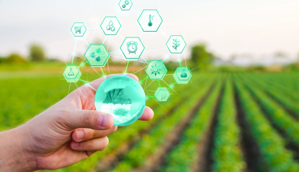 Das Potenzial der Blockchain-Technologie für die Agrarindustrie0 (0)
