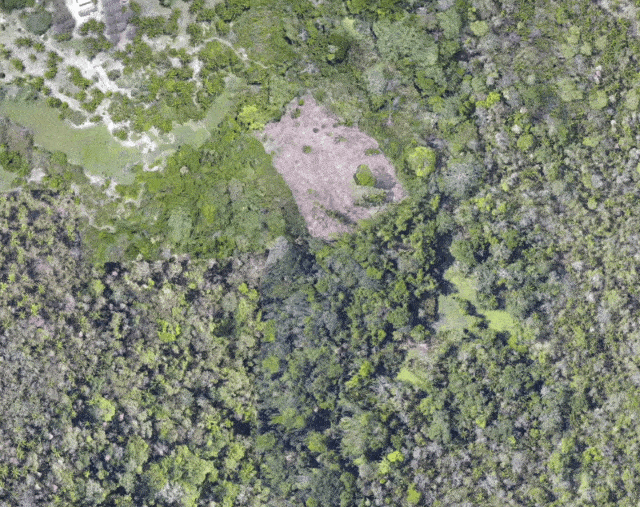 Lidar legt die Überreste einer überwucherten alten Zivilisation im Amazonas frei0 (0)