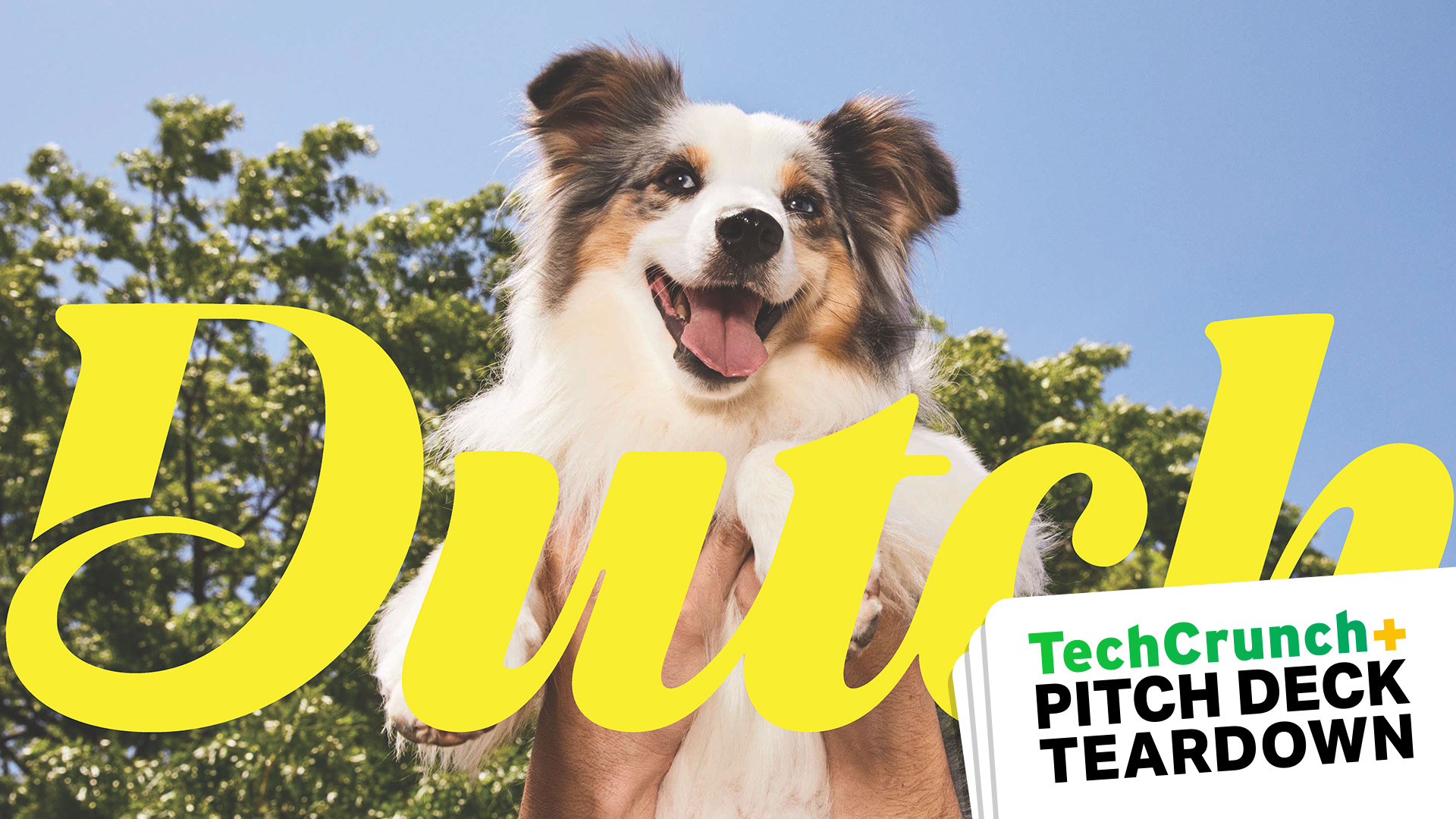 Pitch Deck Cover Slide mit einem süßen Hund, dem Wort DUTCH und TechCrunch Pitch Deck Teardown überlagert